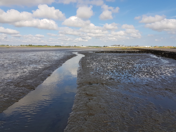 Ein Pril in der Nordsee