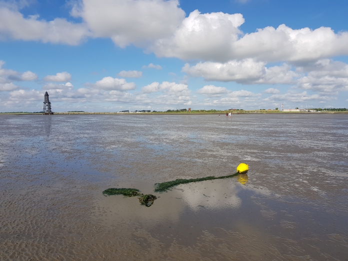 Eine Boje in Dorum