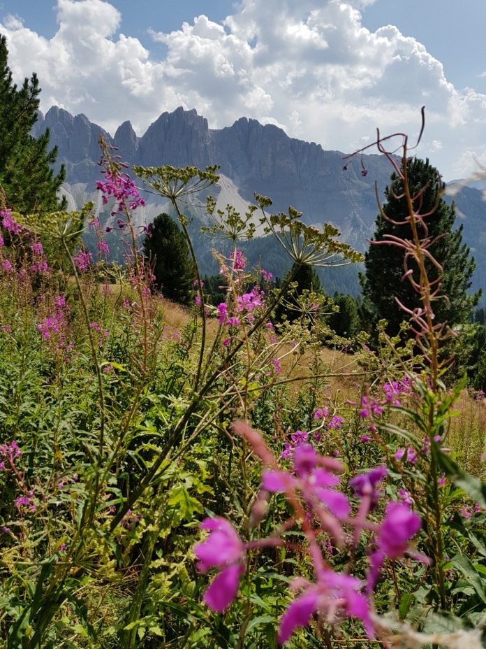 Schöne Dolomiten