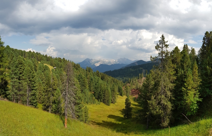 Berge und Bäume