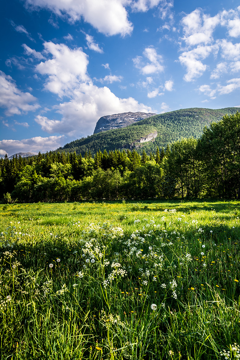 Norwegens schöne Landschaft